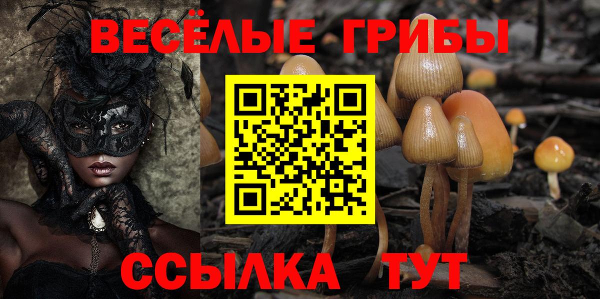 Галлюциногенные грибы Magic Shrooms Камышин