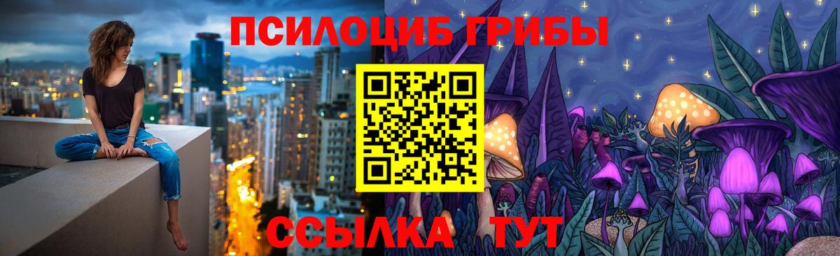 наркота  Галлюциногенные грибы Cubensis  Вход с VPN  Камышин 